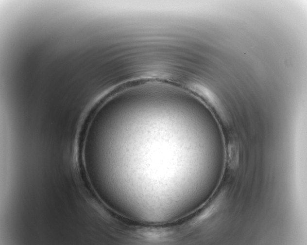X0000089450780200706221246