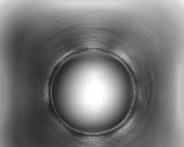 X0000089450782200706221246