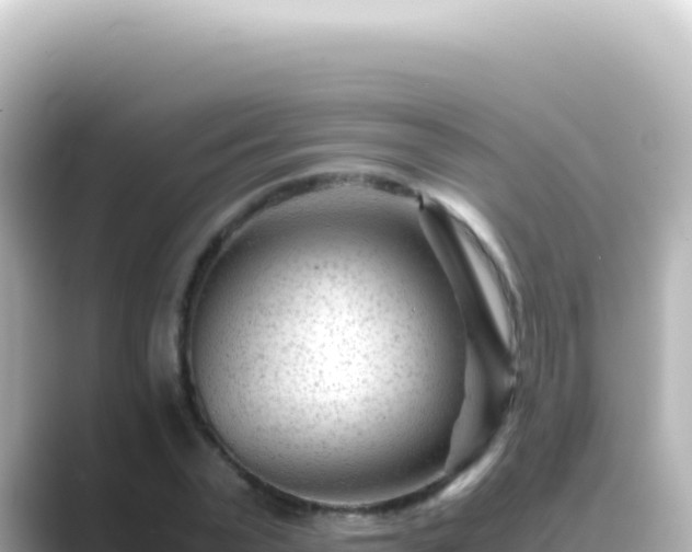 X0000089450783200706221246