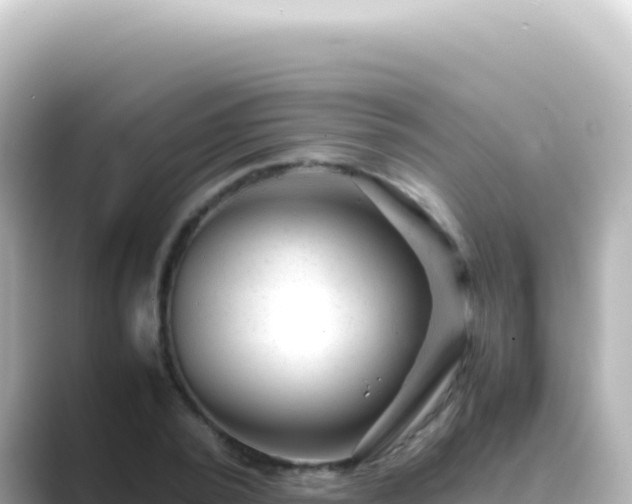 X0000089450784200706221246