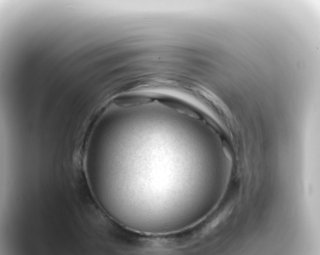 X0000089450785200706221246