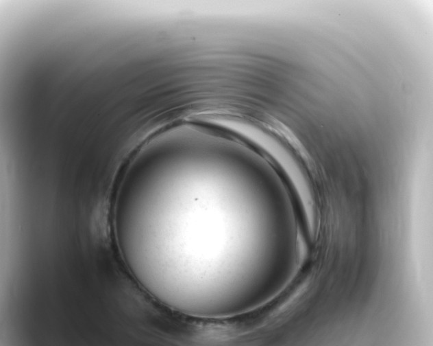 X0000089450786200706221246