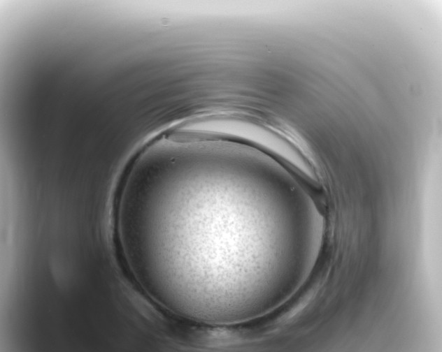 X0000089450787200706221246