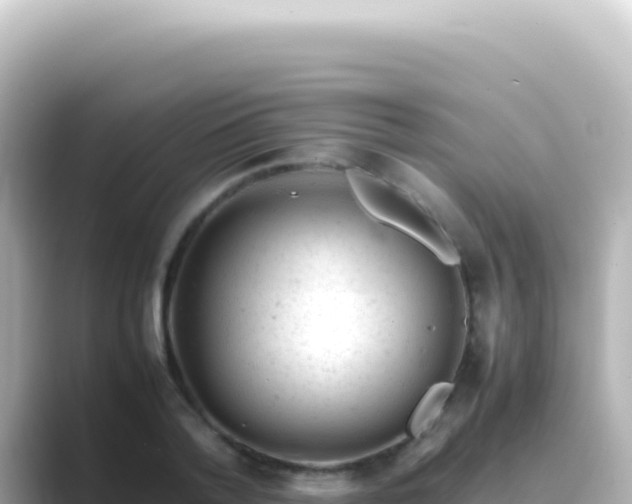 X0000089450788200706221246