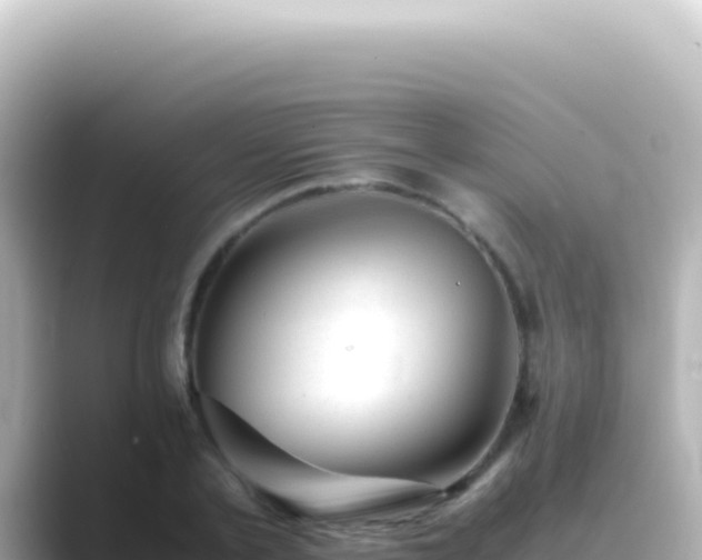 X0000089450789200706221246