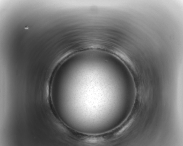 X0000089450790200706221246