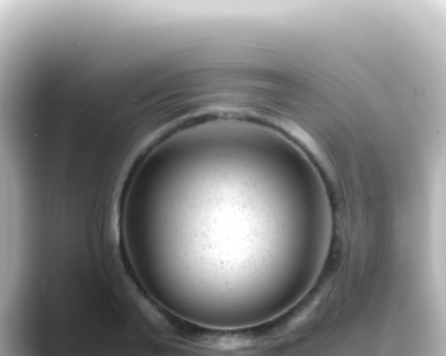 X0000089450791200706221246