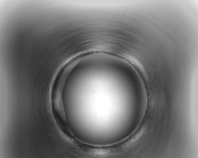 X0000089450792200706221246