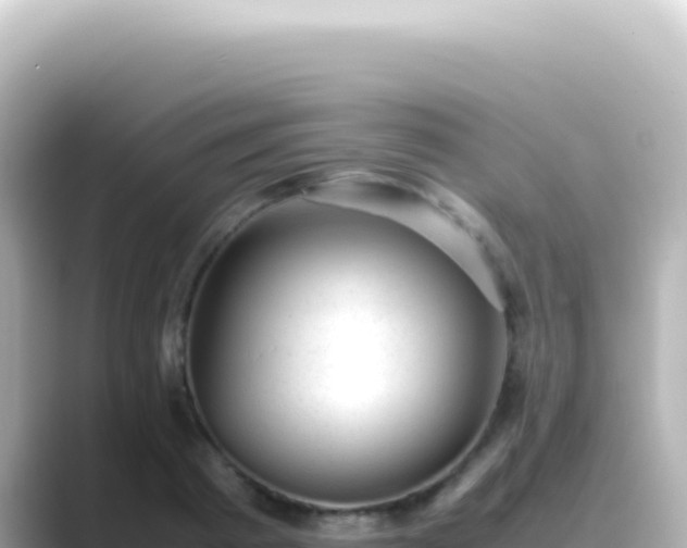 X0000089450793200706221246