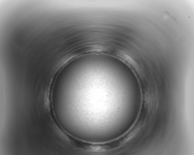 X0000089450794200706221246