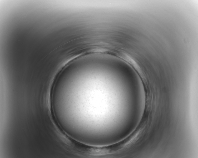 X0000089450795200706221246