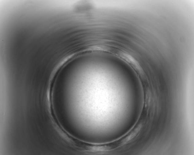 X0000089450796200706221246