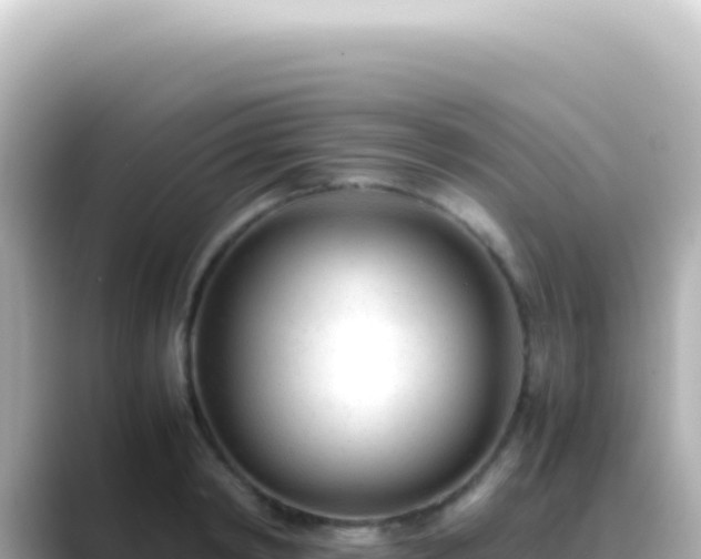 X0000089450798200706221246