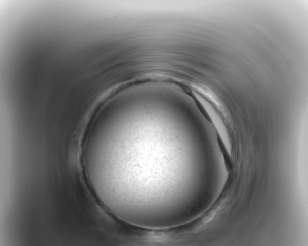 X0000089450799200706221246