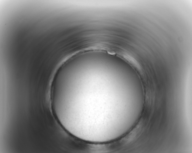 X0000089450800200706221246