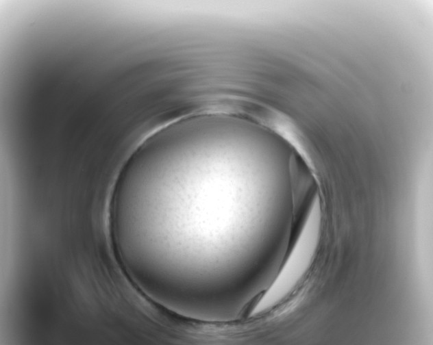 X0000089450803200706221246
