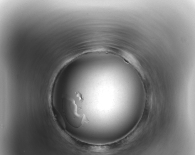 X0000089450805200706221246