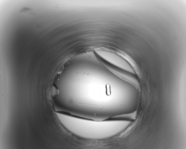 X0000089450809200706221246