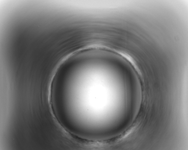 X0000089450815200706221246