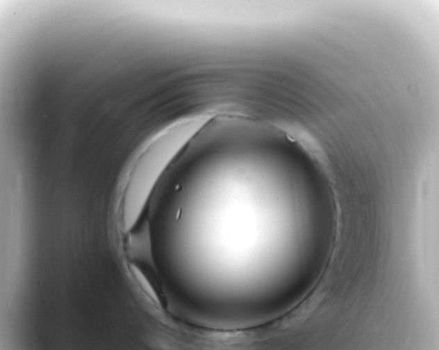 X0000089450816200706221246