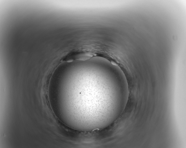 X0000089450817200706221245