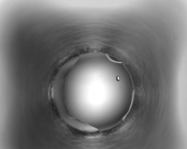 X0000089450818200706221245