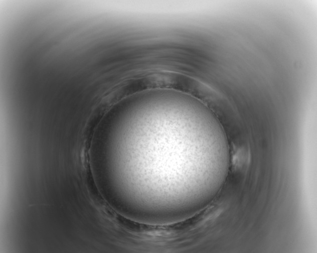 X0000089450819200706221245