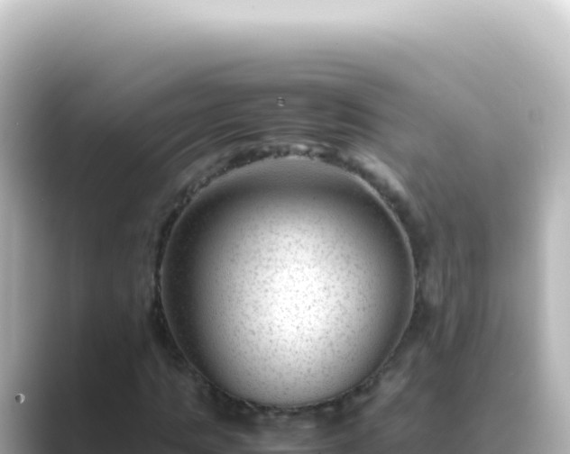 X0000089450821200706221245