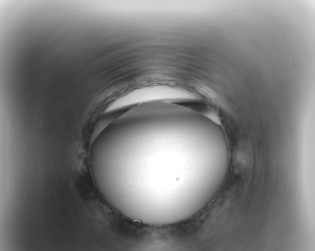 X0000089450822200706221245