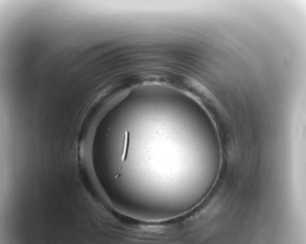 X0000089450825200706221245