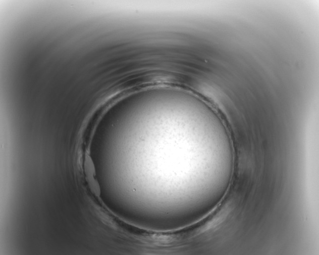 X0000089450827200706221245