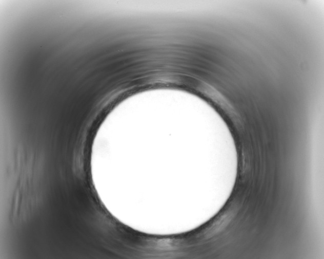 X0000089450828200706221245