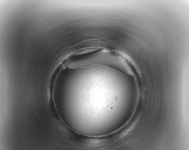 X0000089450829200706221245