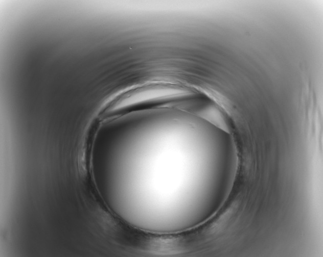 X0000089450830200706221245