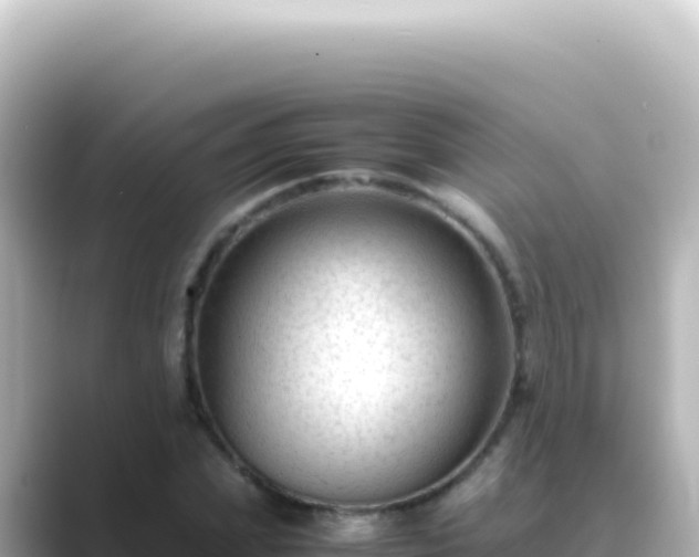 X0000089450831200706221245