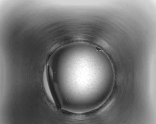 X0000089450833200706221245