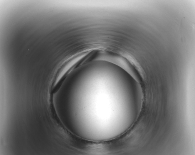 X0000089450834200706221245