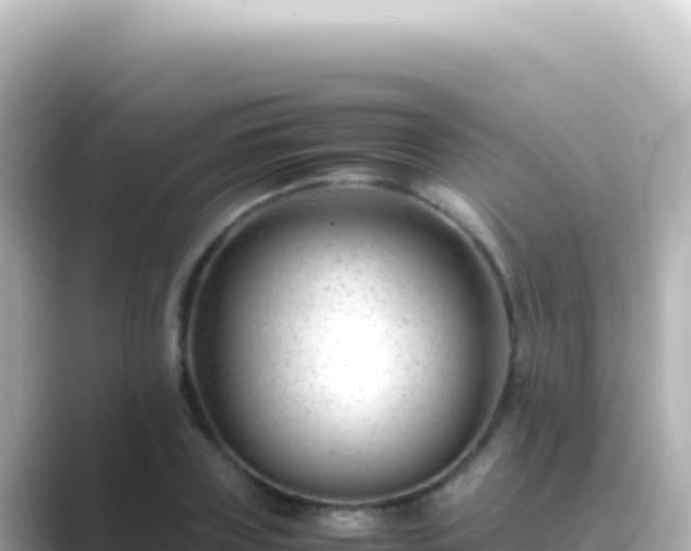 X0000089450835200706221245