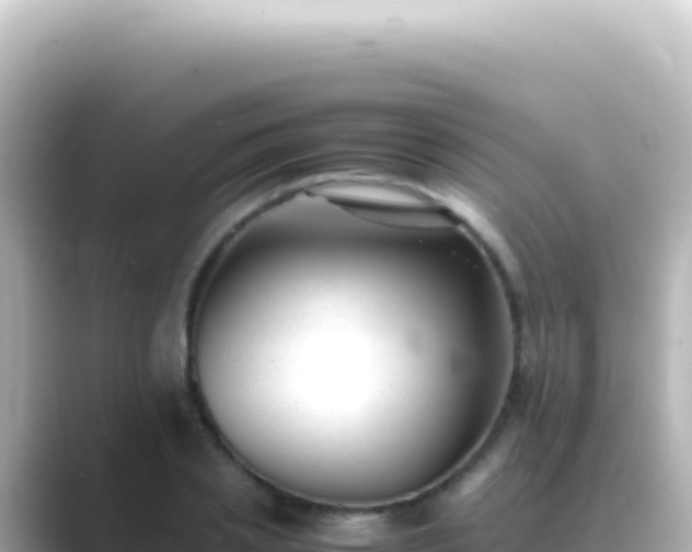 X0000089450837200706221245
