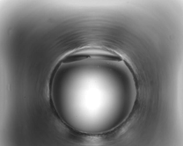 X0000089450838200706221245