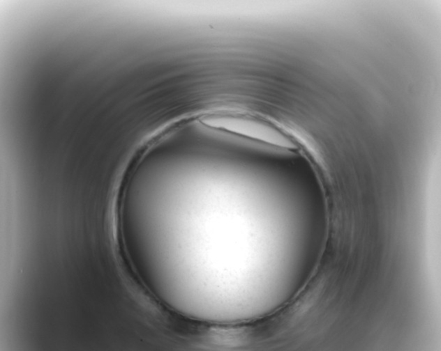 X0000089450840200706221246