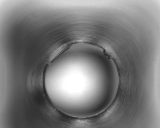 X0000089450842200706221246