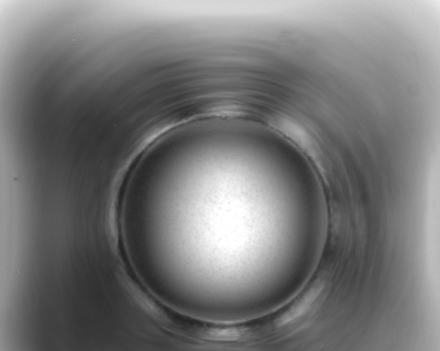 X0000089450843200706221246