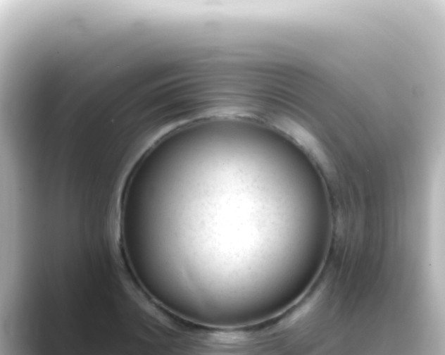 X0000089450844200706221246