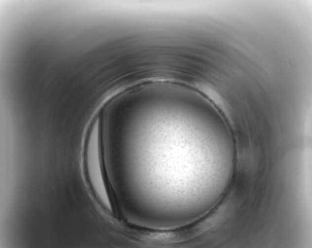X0000089450845200706221246