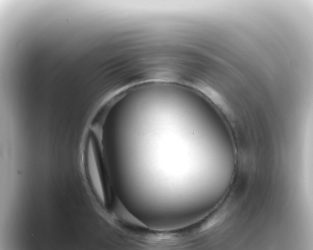X0000089450846200706221246