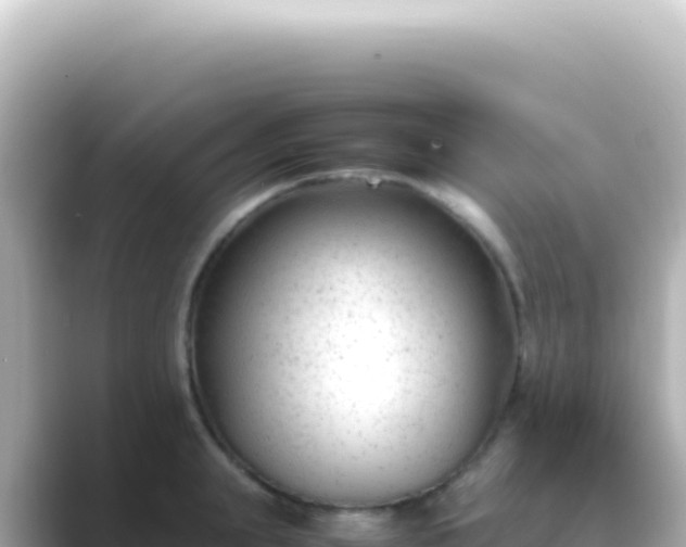 X0000089450847200706221246