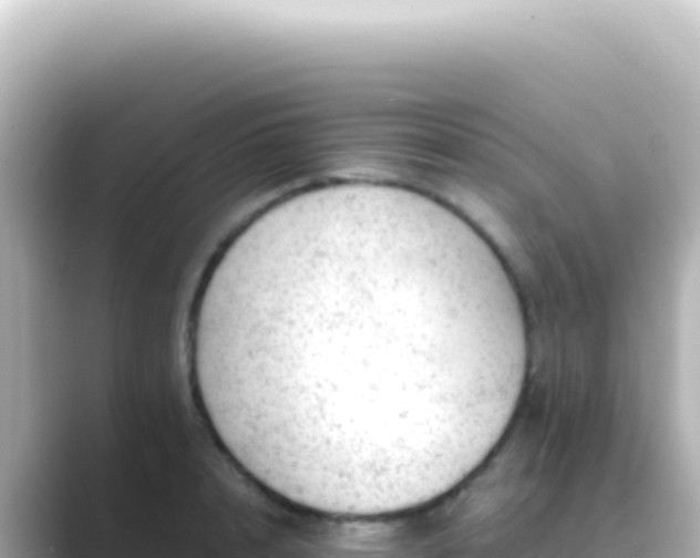 X0000089450848200706221246
