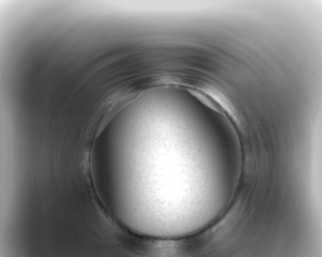 X0000089450849200706221246