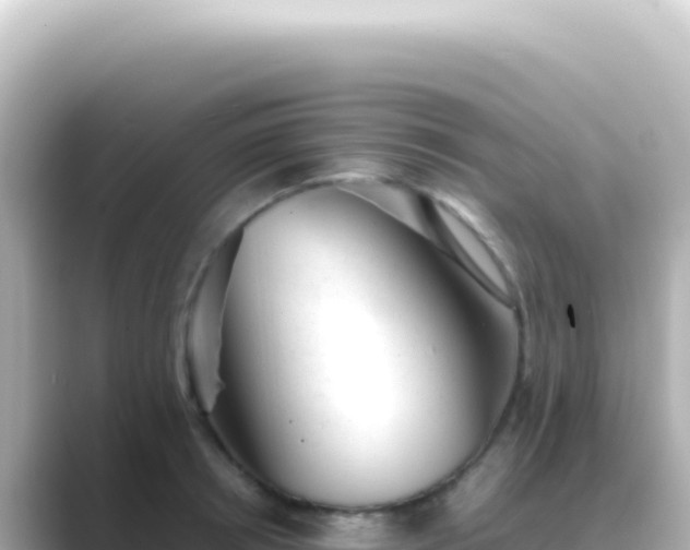 X0000089450850200706221246